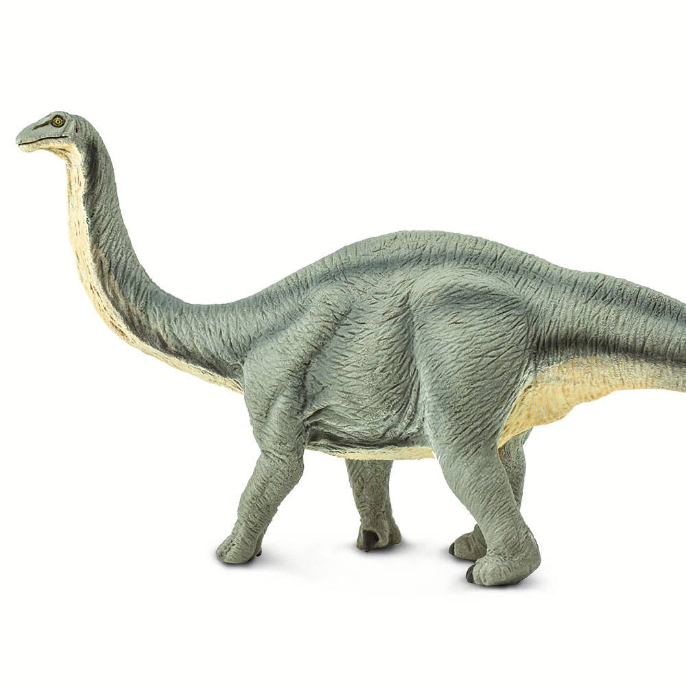 Safari Ltd. - Wholesale Figurine Toy - Kids - Apatosaurus - 3004292