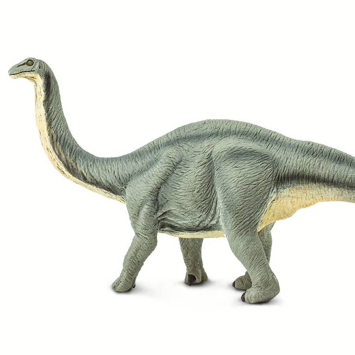 Safari Ltd. - Wholesale Figurine Toy - Kids - Apatosaurus - 3004292