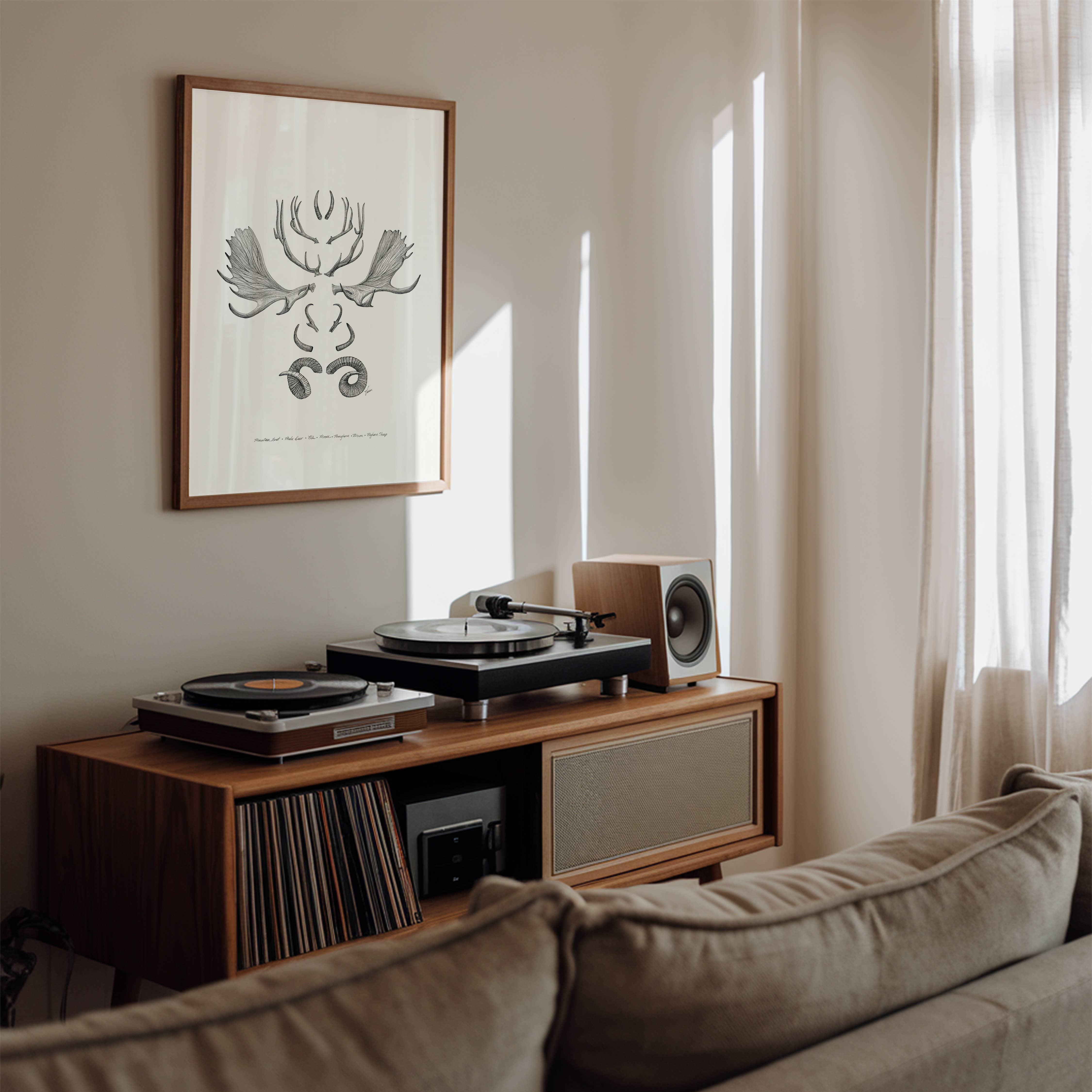 Vanee.ink - Wholesale Art Print - Horns & Antlers Print6