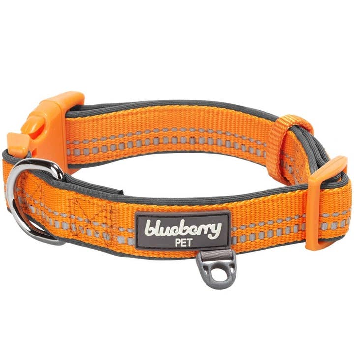 Blueberry Pet - Vente Collier – chien - Collier de sécurité rembourré en néoprène souple réfléchissant 3M