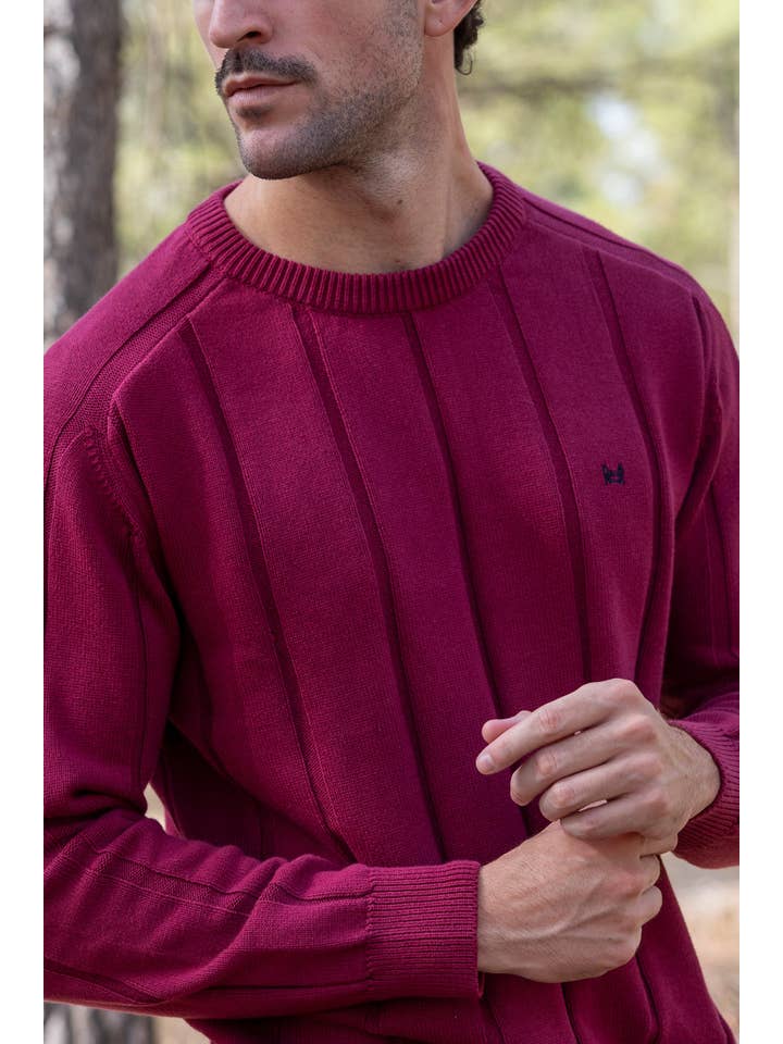 Custi Mikelo: Men's Clothing & Christmas Gifts - Wholesale Knitted jumper – Men′s - Burgundy Vertical Stripe Jersey1