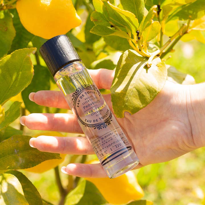 Panier Des Sens – Großhandel Parfüm/Eau de Toilette – Eau de Toilette 50 ml | Provence1