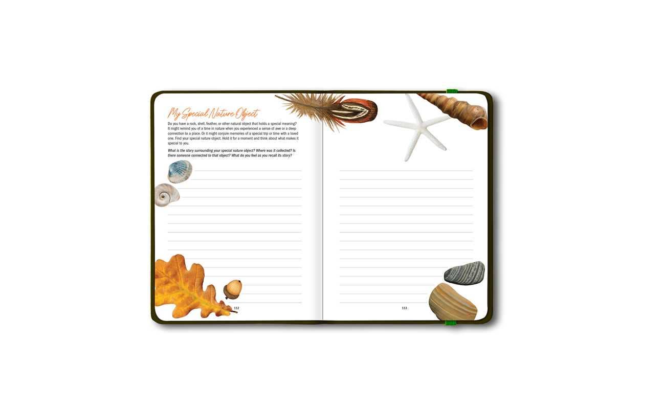 Simon & Schuster - Wholesale Journal/Diary - Grounded by Patricia H. Hasbach8
