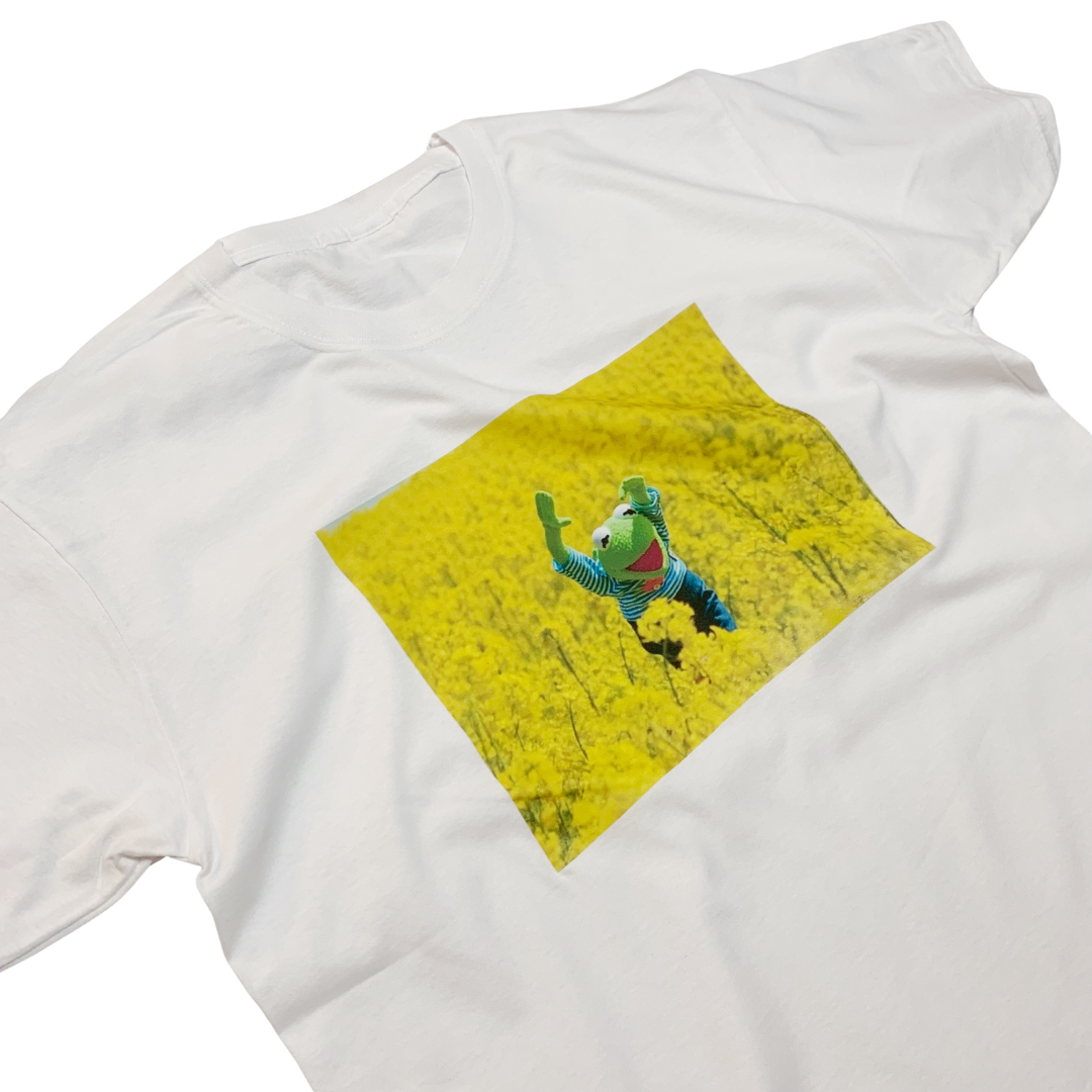 ZZZEBRAAA LIMITED - Wholesale Screen Printed T-Shirt - Unisex - Kermit the Frog T-Shirt Wholesome Meme for Summer1