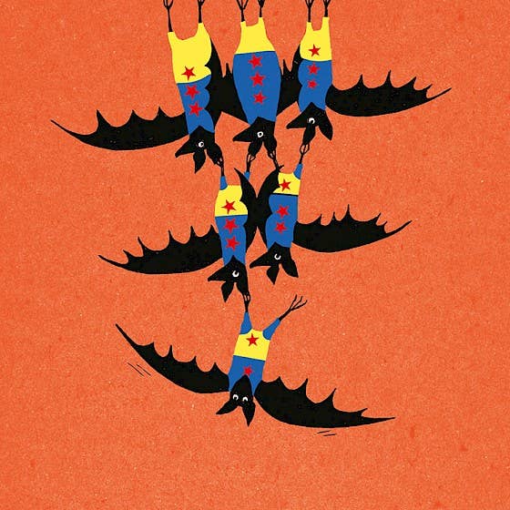 Acrobats for wholesale by Paper Bird Publishing