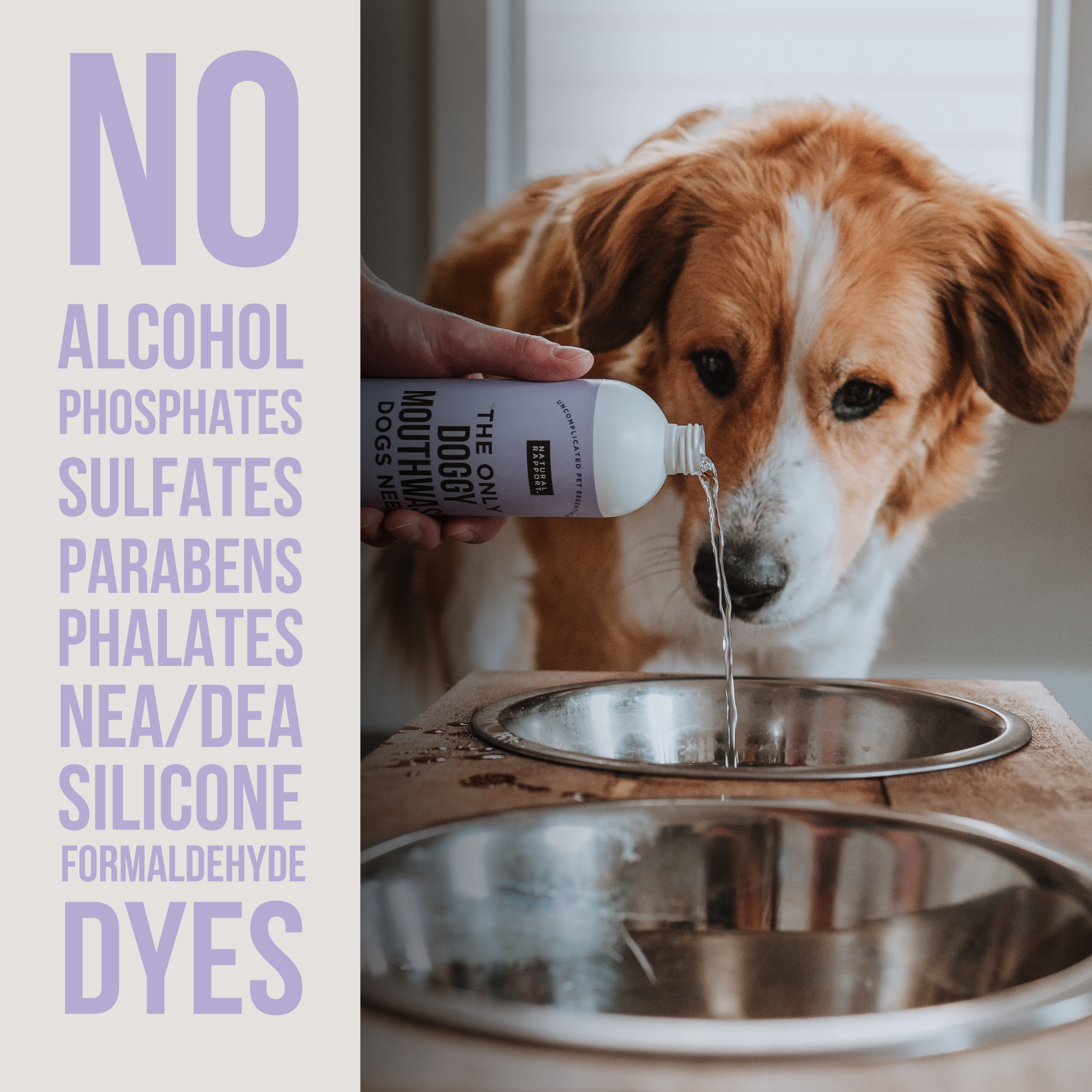 Natural Rapport - Wholesale Pet Grooming Tool - Dog - The Only Doggy Mouthwash Dogs Need2