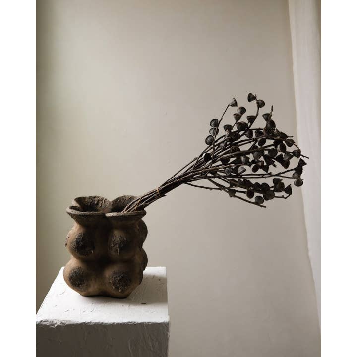 Twenty Third by Deanne - Wholesale Dried/Pressed Flowers - Dried Eucalyptus Fruit Big1