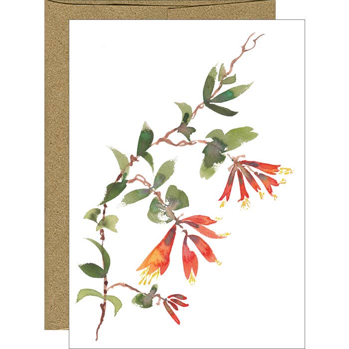 Watercolor Trumpet Honeysuckle Note Cards - Boxed Set of 6 for wholesale by Pink Bathtub Designs