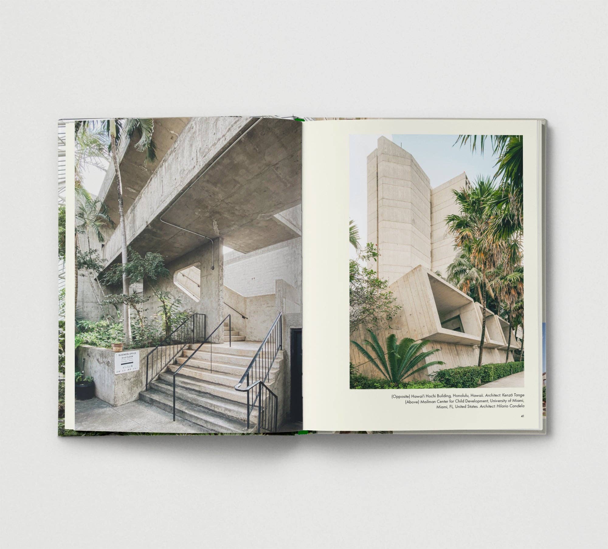 Hoxton Mini Press - Wholesale Nature and outdoors - Brutalist Plants5