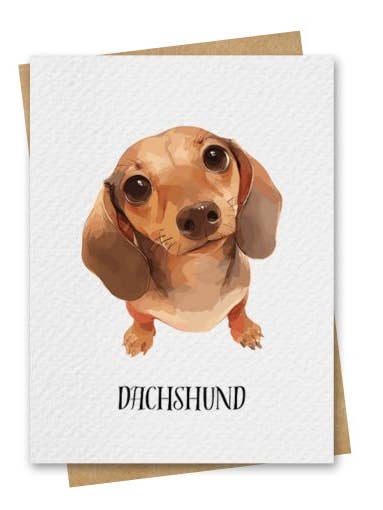 Watercolour Dachshund Dog Card Includes Kraft Envelope for wholesale by Paper Kuts