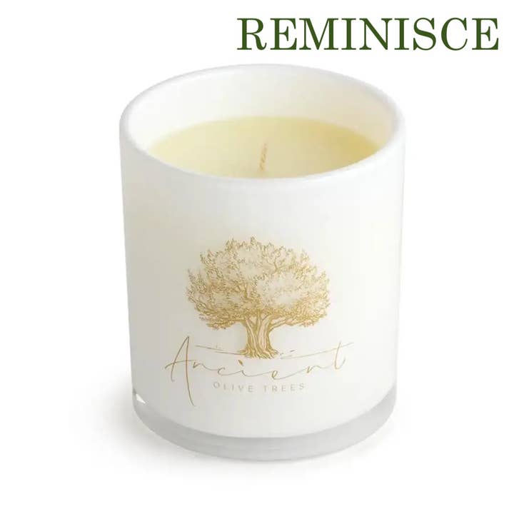 Ancient Olive Trees - Wholesale Pot/gevulde kaars - Luxe geurkaarsen, variétépakket6