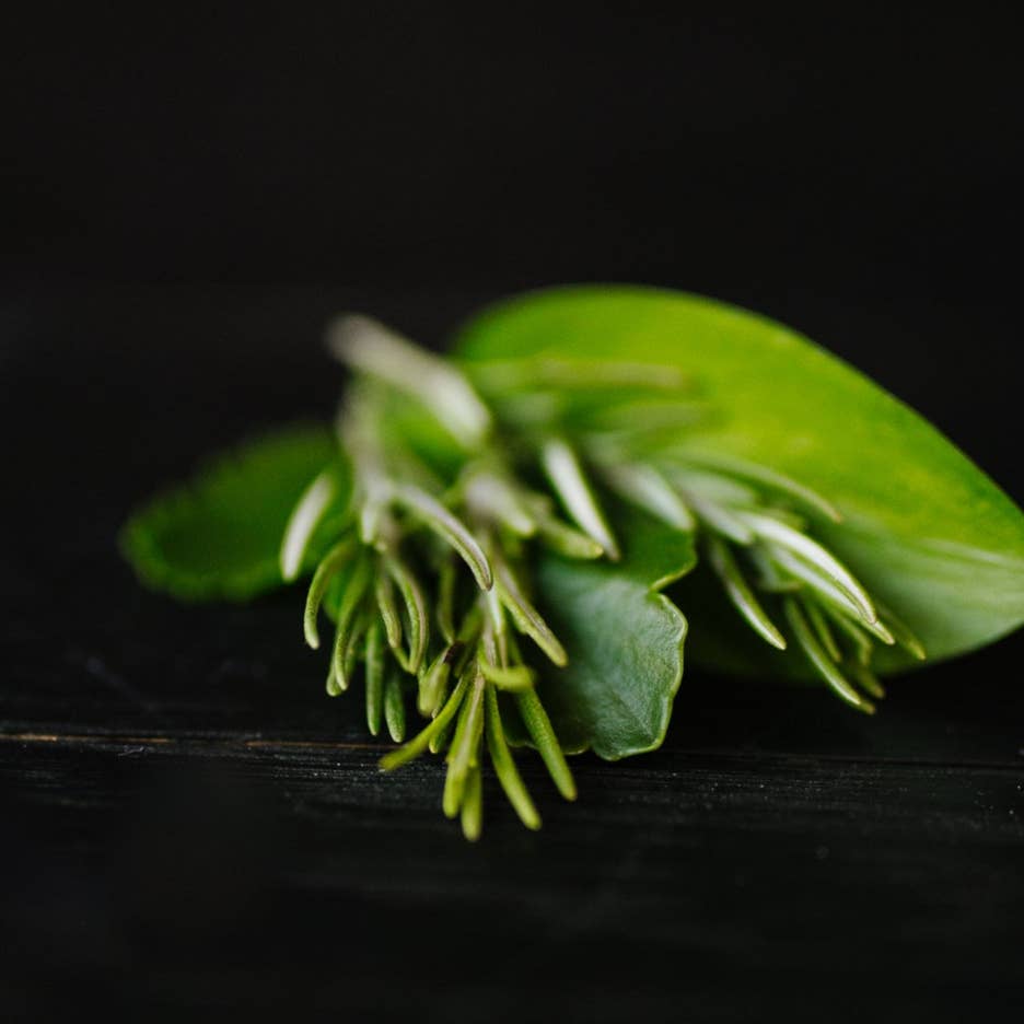 Viori Beauty – Engroshandel Fast shampoo – Rosmarin & Biotin Shampoo Bar til Volumengivende & Styrkende4