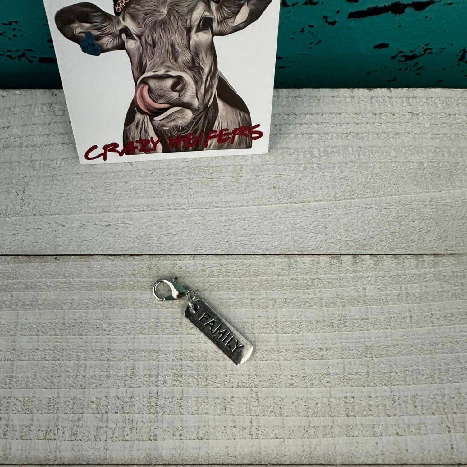 Crazy Heifers Wholesale - Wholesale Individual Charm/Pendant - Clip-on Charms Silver Tone16