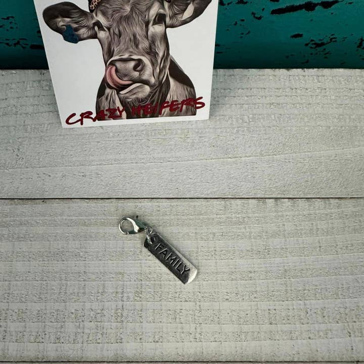 Crazy Heifers Wholesale - Wholesale Individual Charm/Pendant - Clip-on Charms Silver Tone16