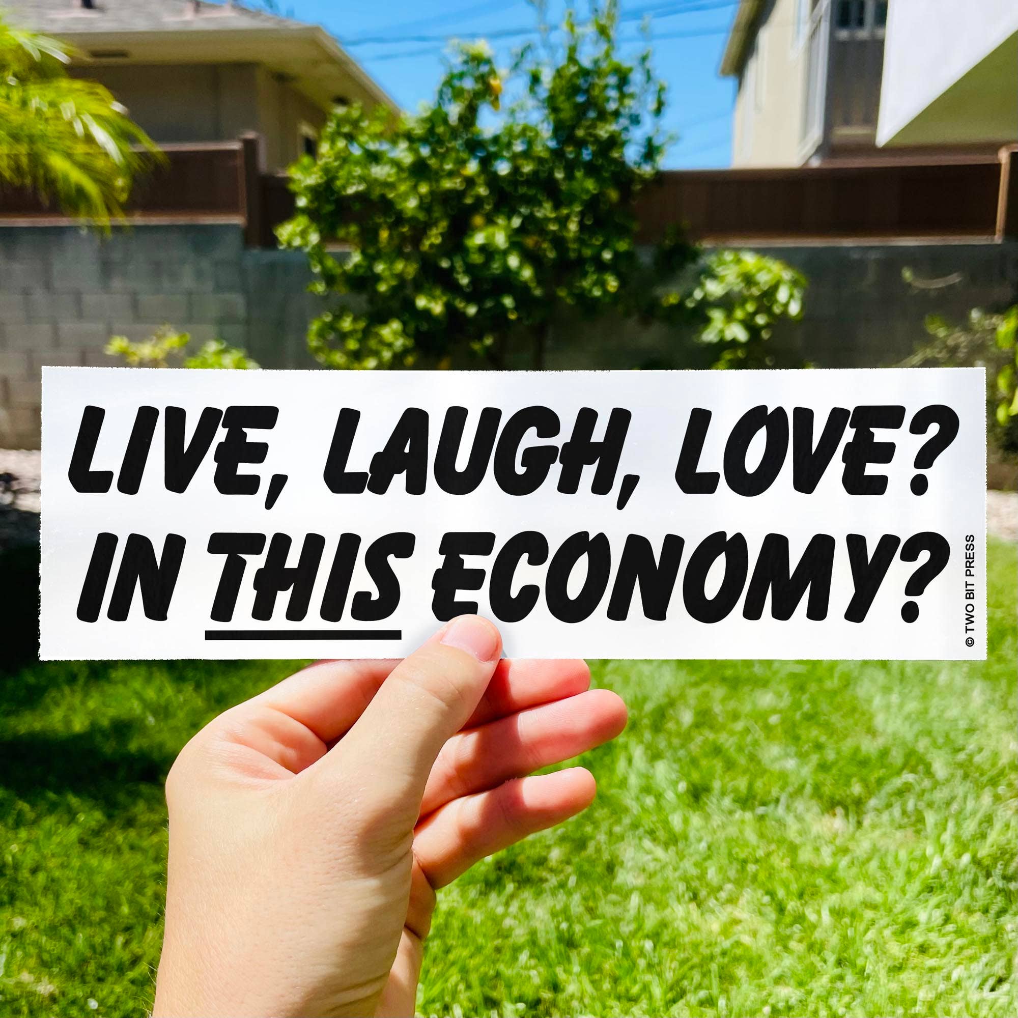 Two Bit Press - Venta al por mayor Pegatina - Adhesivo para parachoques Live Laugh Love Economy, divertido para la generación Z de los años 80 y 901