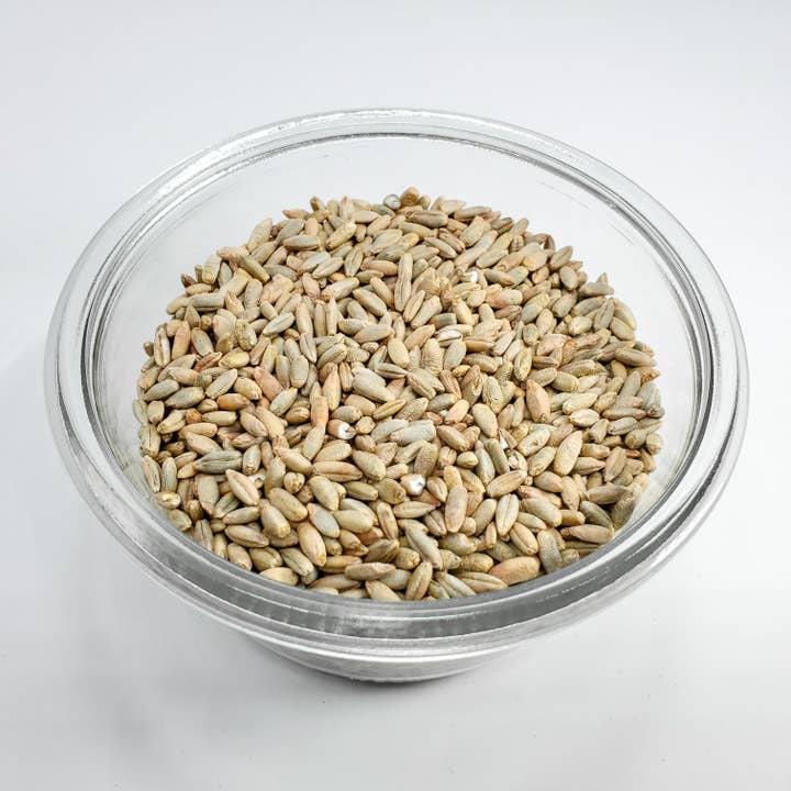Maine Grains - Wholesale Whole Grains - Organic Rye Berries / 6x2.4#