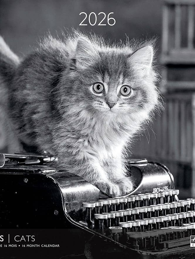 Calendario gatos en blanco y negro para venta al por mayor de Multi Técnica de Papelería SA