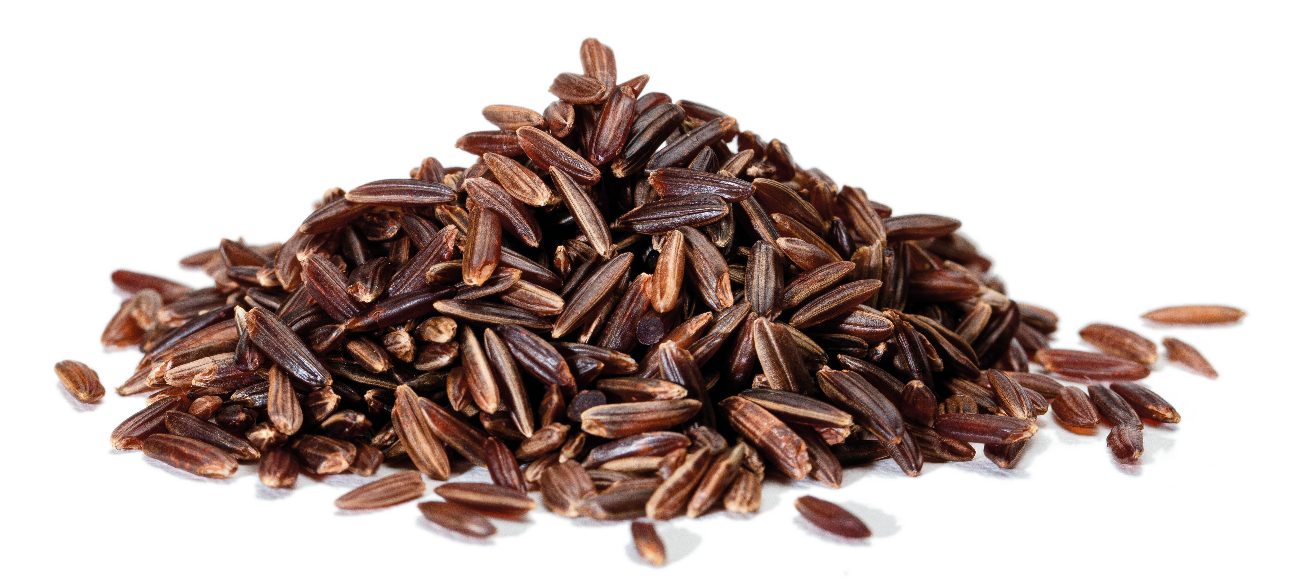 CANAVERE – wholesale Rice – CAMARGUE IGP LONG RED RICE - 500 G3