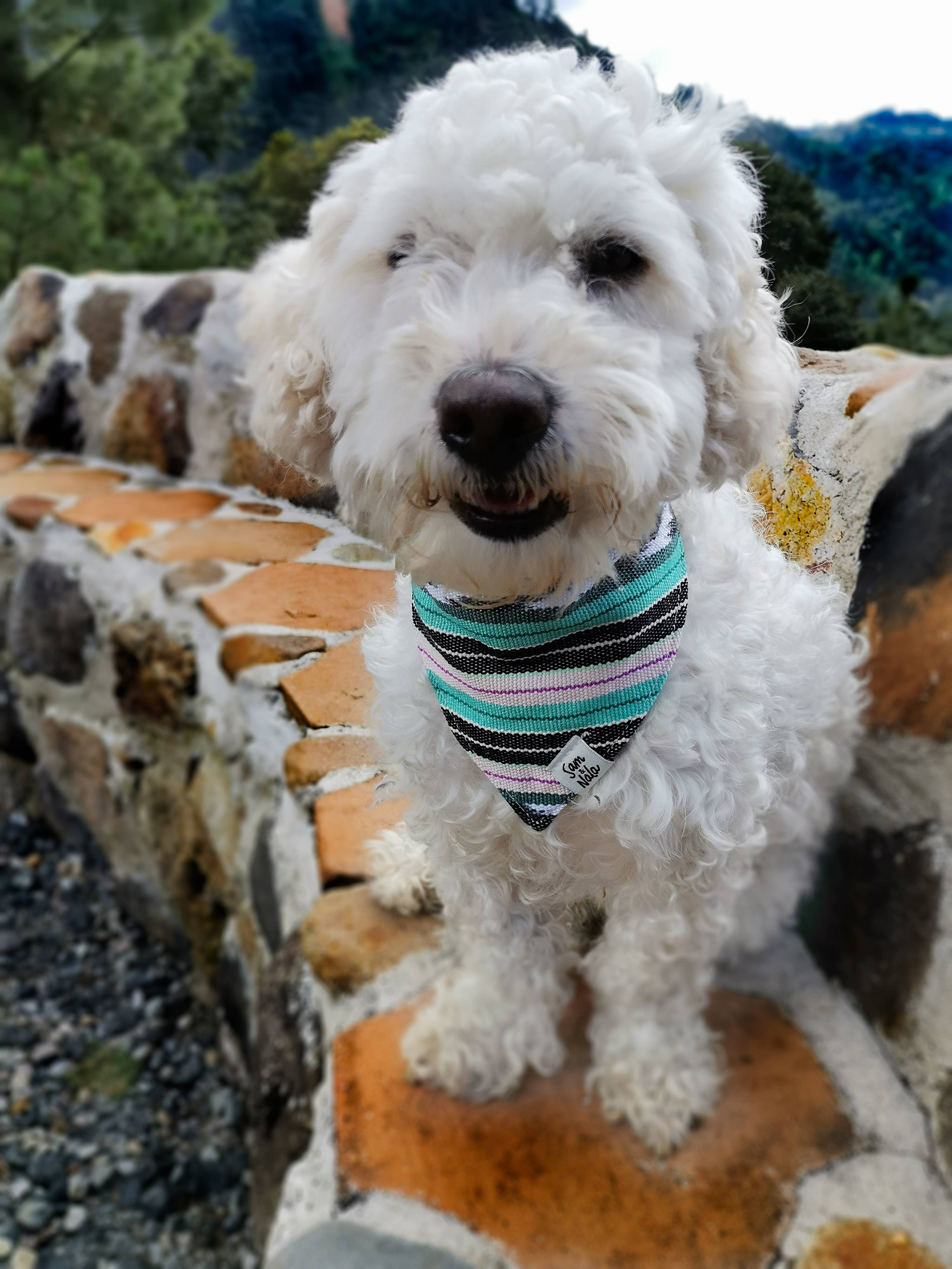 Sam & Nala | intentional style for pets & their people - Venta al por mayor Bandana - Perros - Bandana para Perros Flutter By – Hecho a Mano y de Comercio Justo4