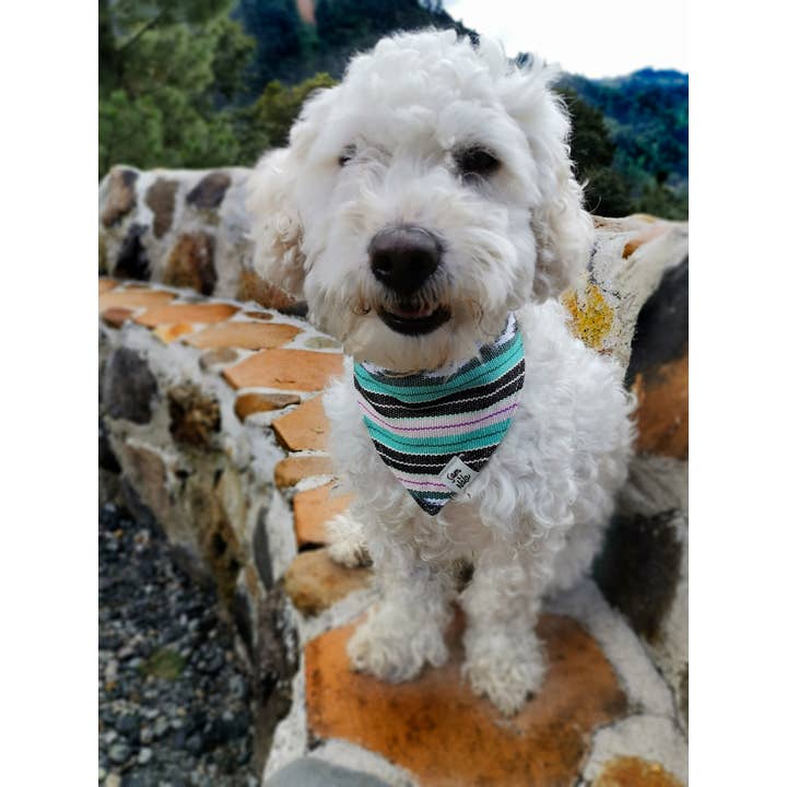 Sam & Nala | intentional style for pets & their people – Bandana - Cão por atacado – Bandana para Cão Flutter By – Feito à Mão & Comércio Justo4