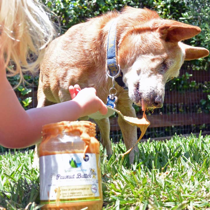 Green Coast Pet - Wholesale Pet treats – Dog - Peanut Butter for Dogs with Honey Xylitol-Free 16 oz7