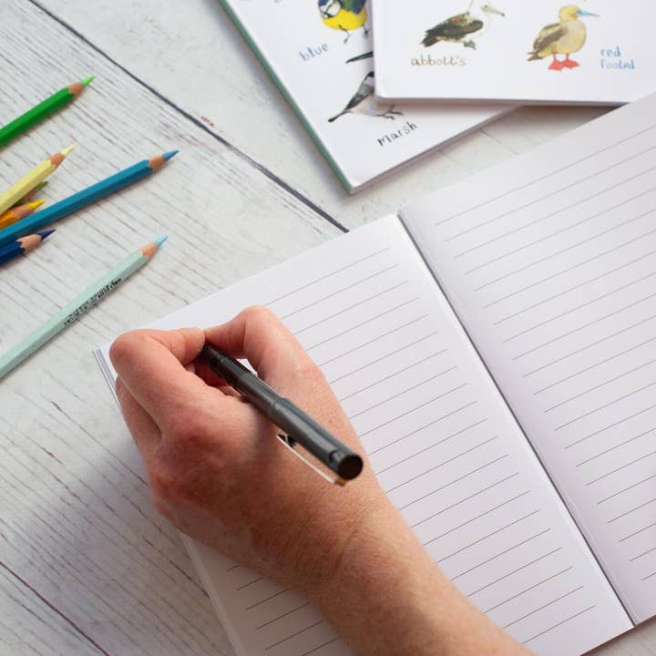 Sarah Edmonds Illustration - Wholesale Notebook - Tits A5 Recycled Bird Notebook