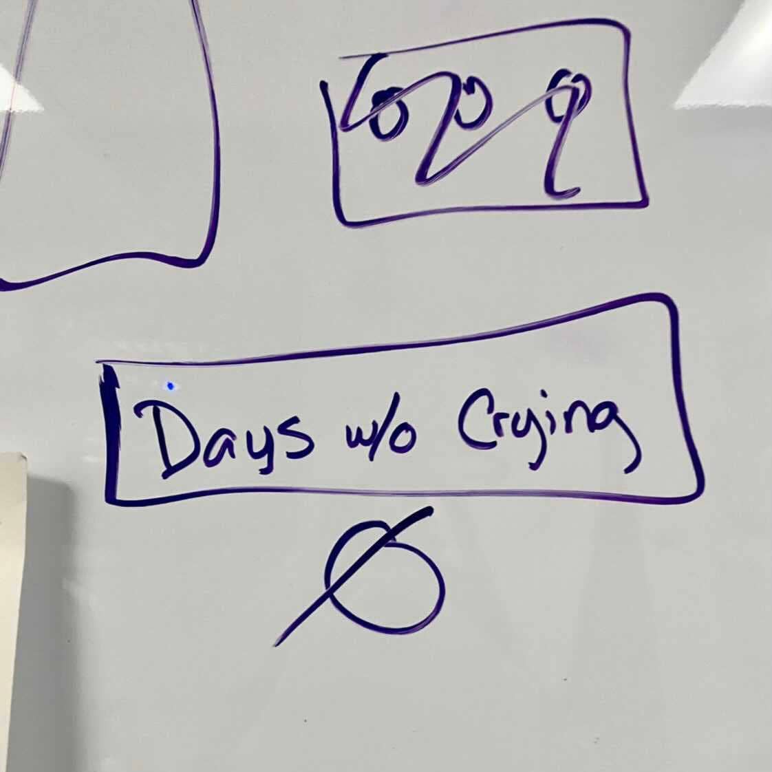 Mover & Shaker - Vente Autocollant - Autocollant No Crying In The Walk-In6