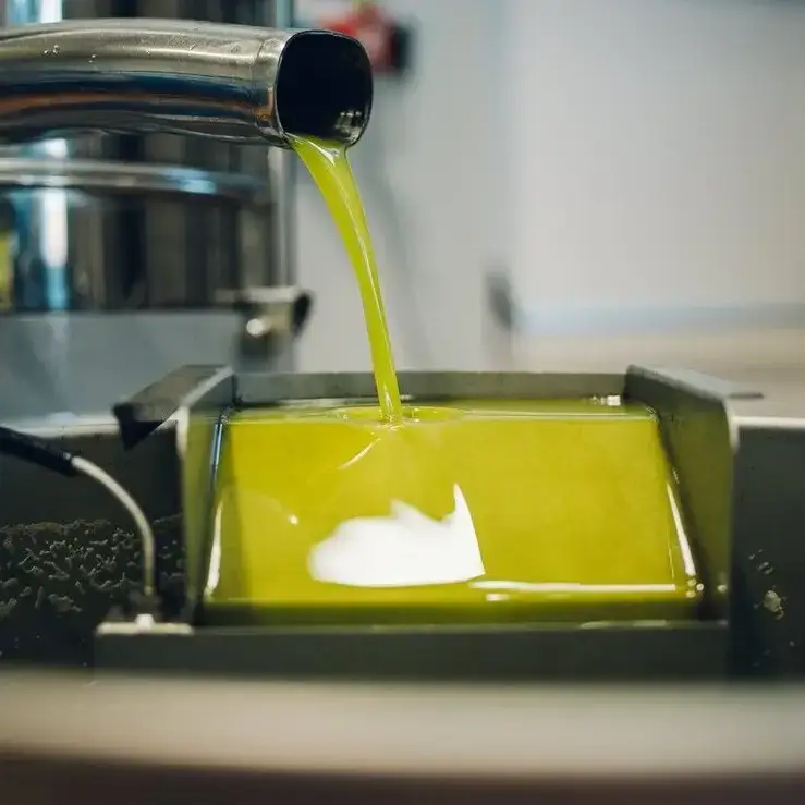 Bio Orto Società Cooperativa Agricola – Großhandel Olivenöl – Bio Peranzana Monokultivar Natives Olivenöl Extra - 1 l1