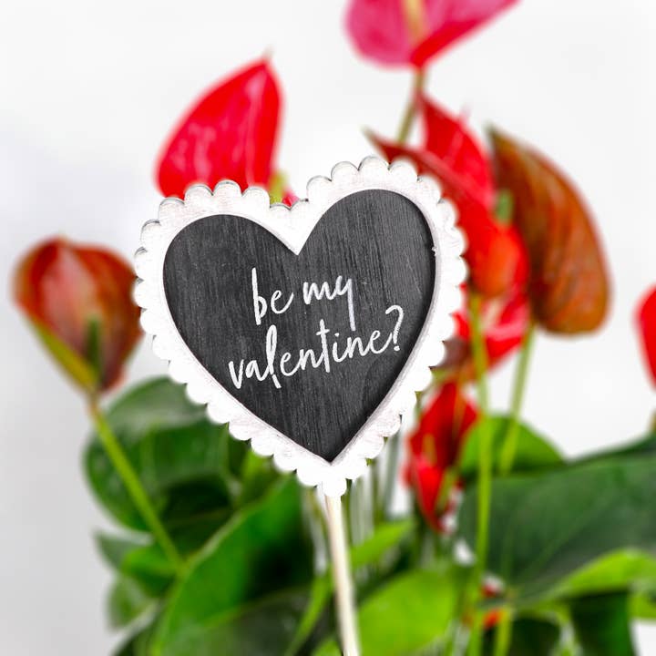 Chalkboard Heart Plant Stake - Valentine's Day for wholesale by Thorsen's Greenhouse