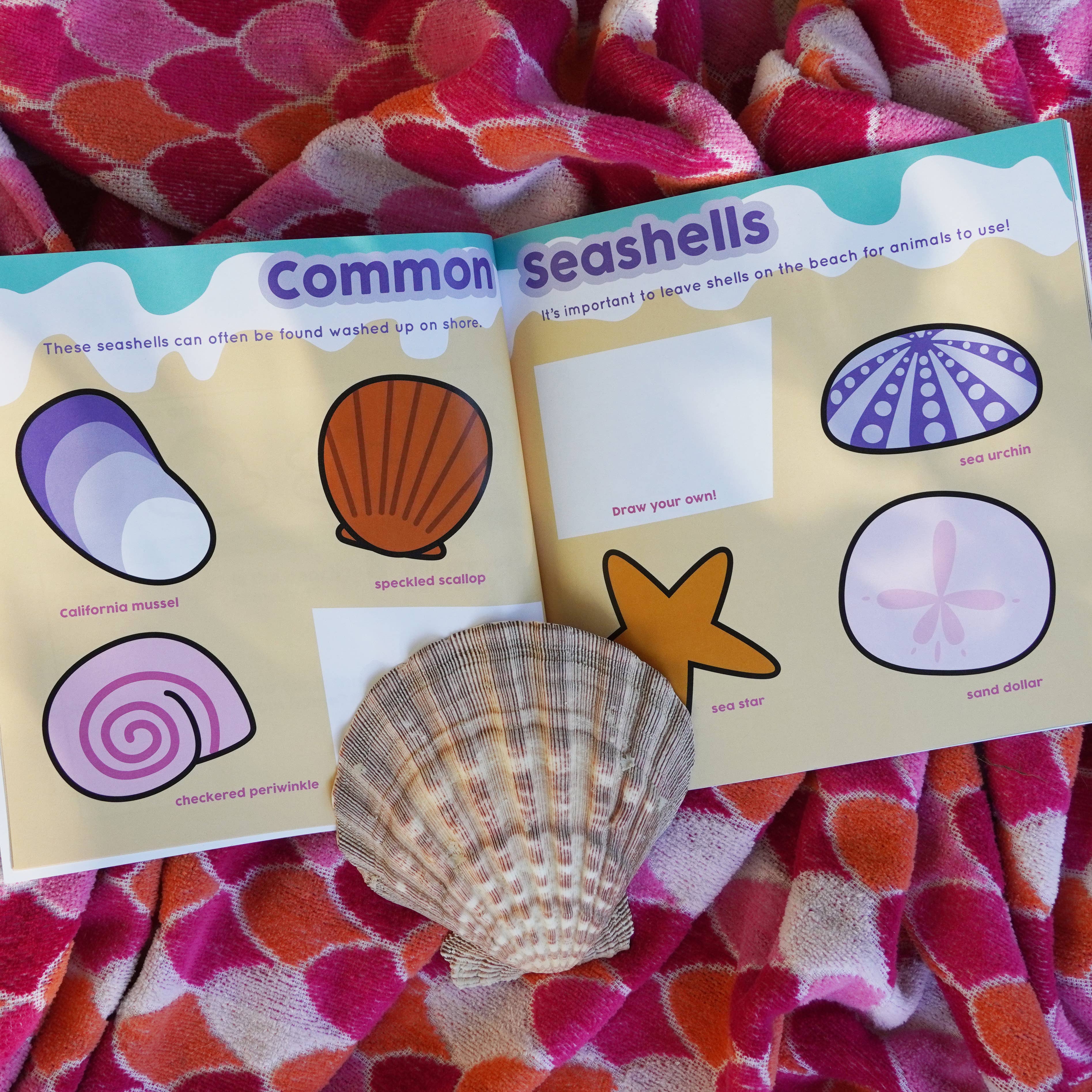 Environerd - Wholesale Early Reader Book (6-8) - Sea Everything: An Ocean Discovery Journal5