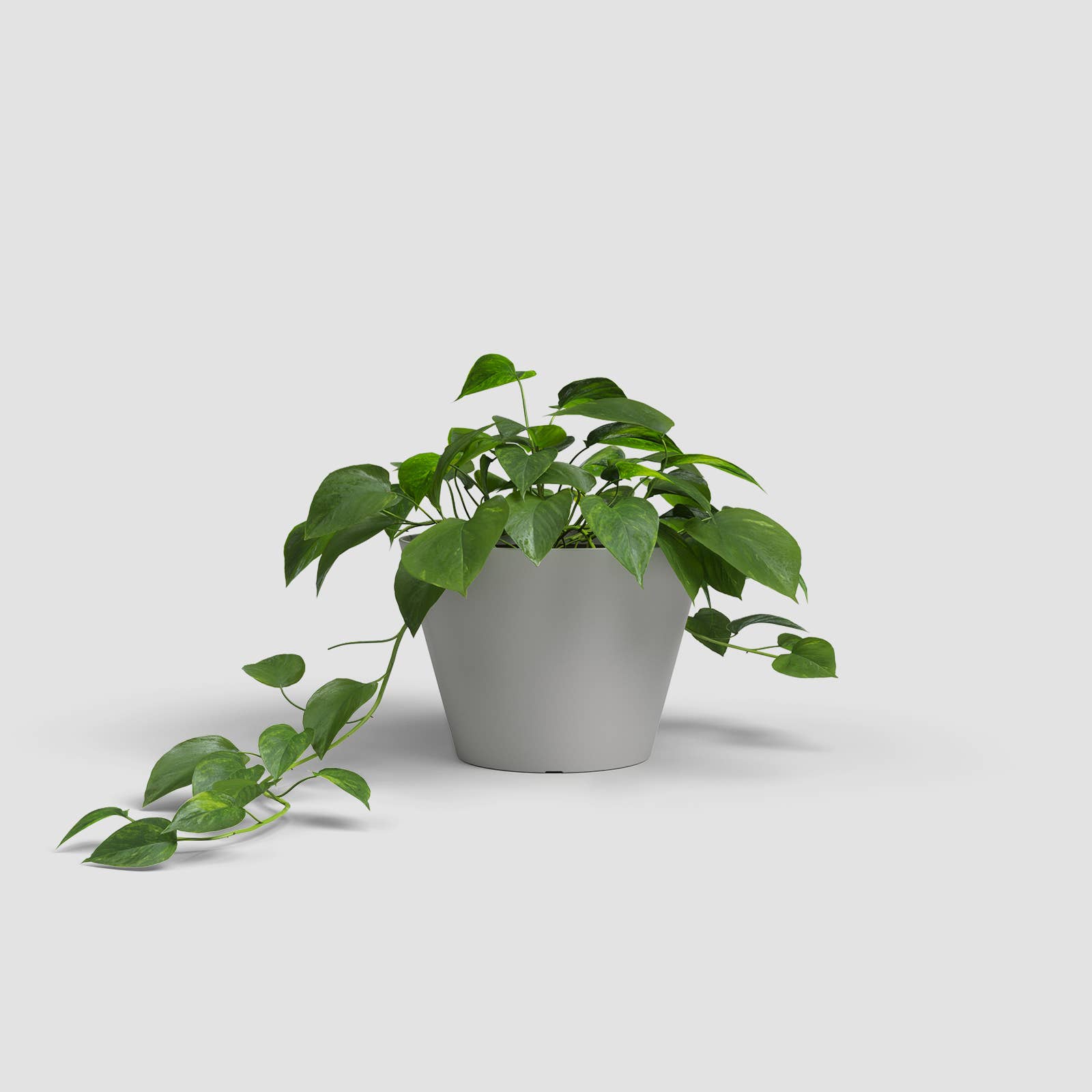ARTEVASI, SA - Wholesale Plant Pot - Plastic flower bowl with straight, simple lines8