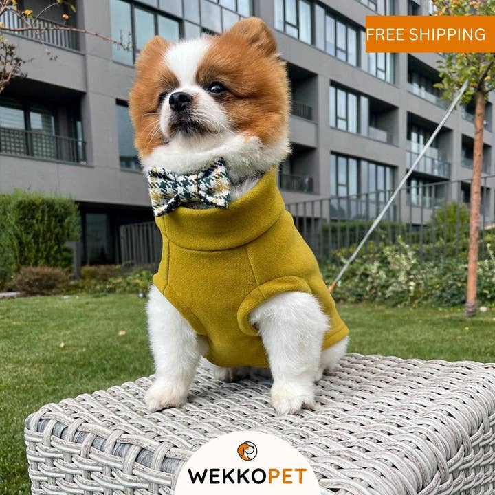 (LOT DE 5) GILET POUR CHIEN DE HAUTE QUALITÉ - CHARTREUSE - Cadeau parfait pour les amoureux des chiens - Veste boutique WEKKOPET pour la vente par WEKKOPET