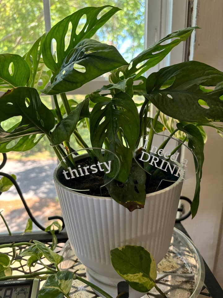 Plant Stakes for wholesale by Creations x Court