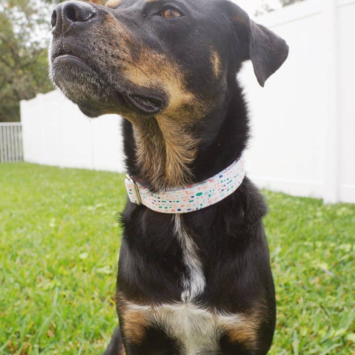 kiwi & WILLOW - Wholesale Pet Collar - Dog - Blue Spring Dog Collar2