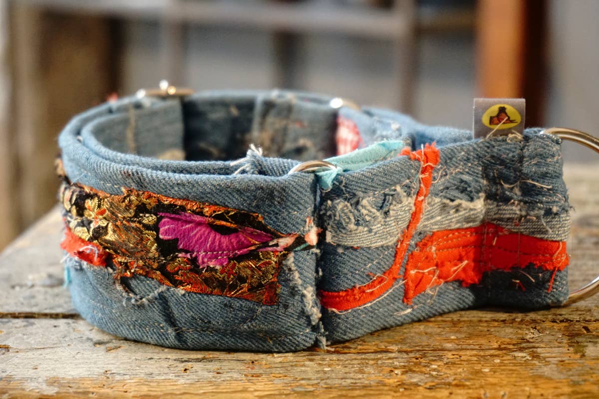 hundsfutter - Wholesale Pet Collar - Dog - “Easy” anti-escape dog collar - mixed media jeans18