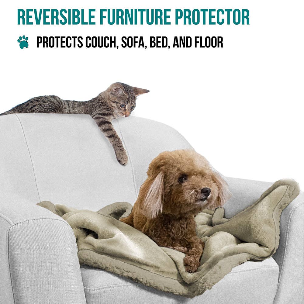 PetAmi - Vente Couverture – chat et chien - Couverture pour animaux en polaire réversible53