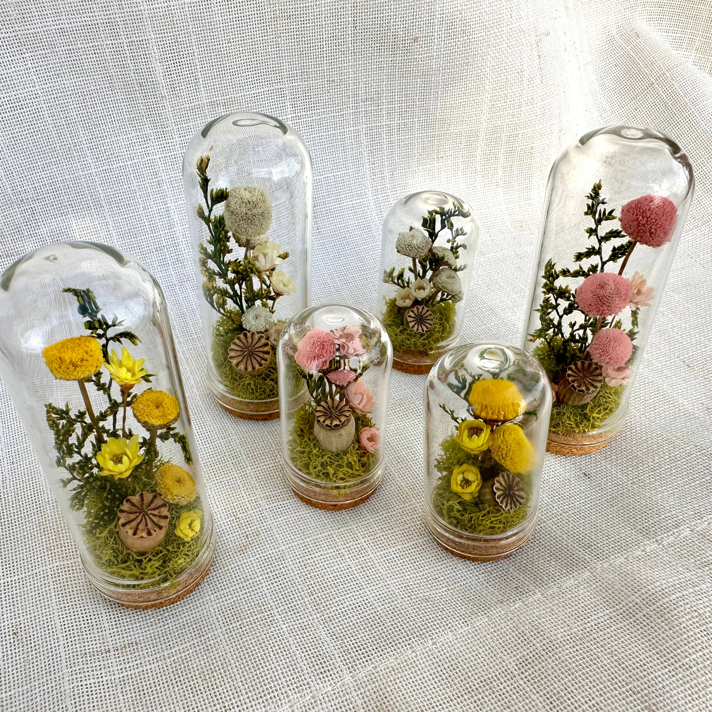 CA Studios - Wholesale Terrarium - Flower Forest Mix Mini Cloche Terrarium w. Dried Florals7