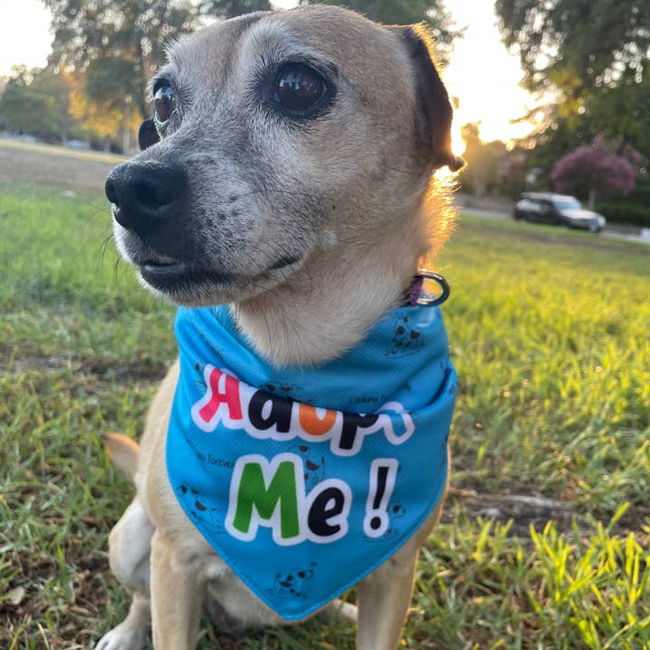 Giving Paws - Wholesale Pet Bandana - Dog - "Adopt Me" Dog Bandana