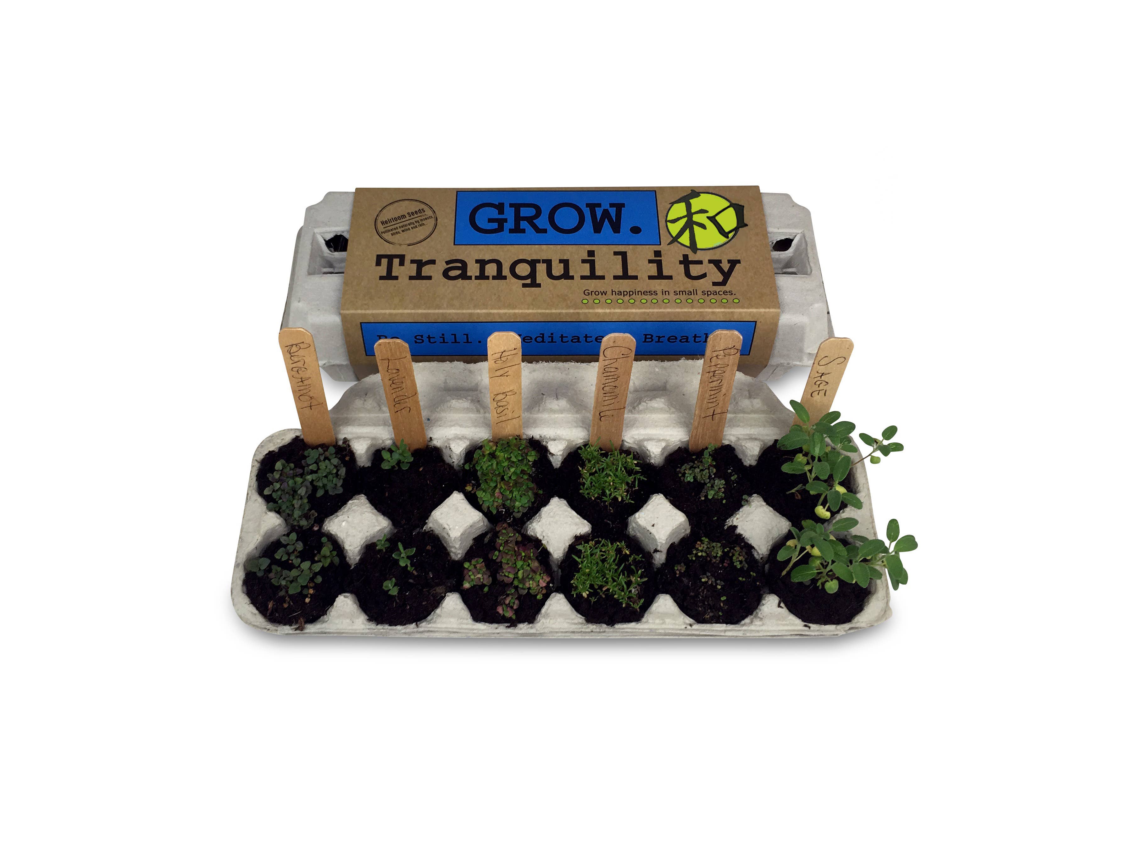 Backyard Safari Company - Wholesale Essential Oil - Tranquility Garden Grow Kit2