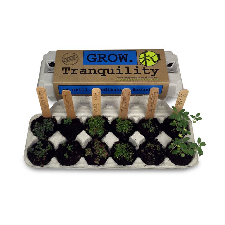 Backyard Safari Company - Wholesale Essential Oil - Tranquility Garden Grow Kit2