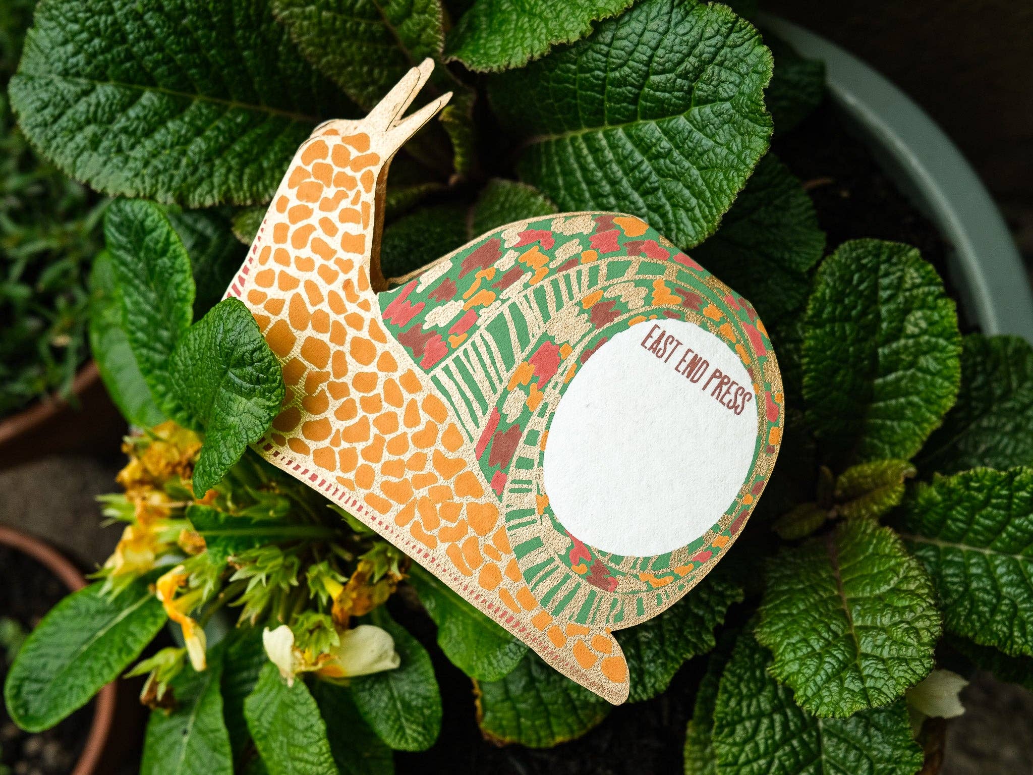 East End Press - Wholesale Everyday Greeting Card - Snail Greeting Card8