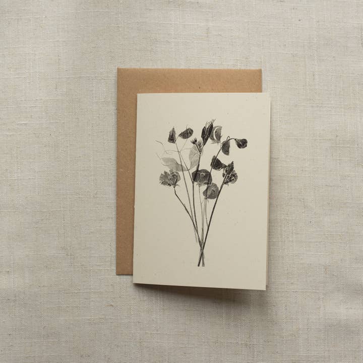 Alicia Breakspear - Wholesale Everyday Greeting Card - Sweet Peas Flower Greeting Card A6 Recycled Card 1