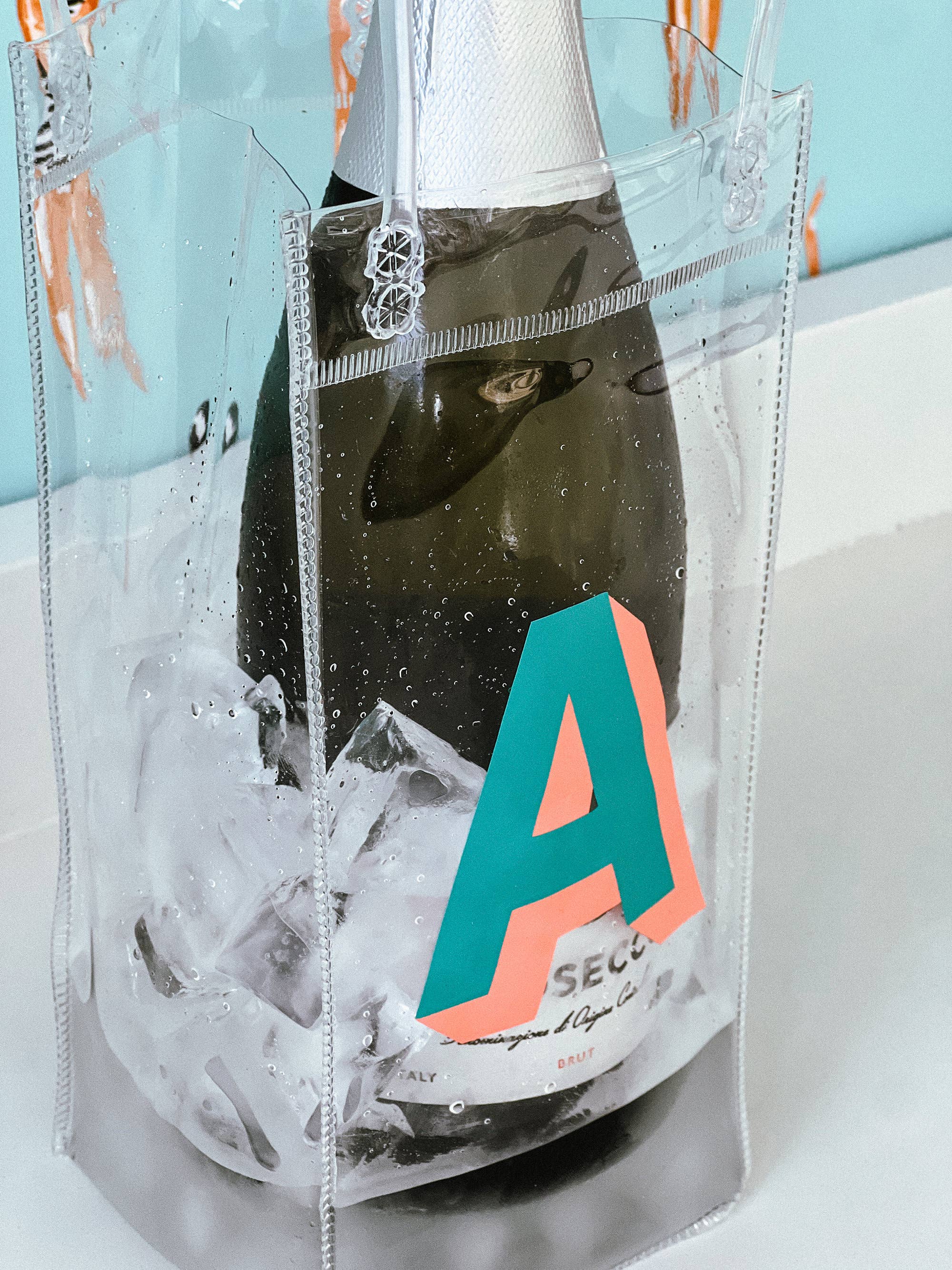 HOPE & JOY - Wholesale Wine Tote - Wine Bag Reusable Clear Plastic Wine Tote Wine Gift Bag6