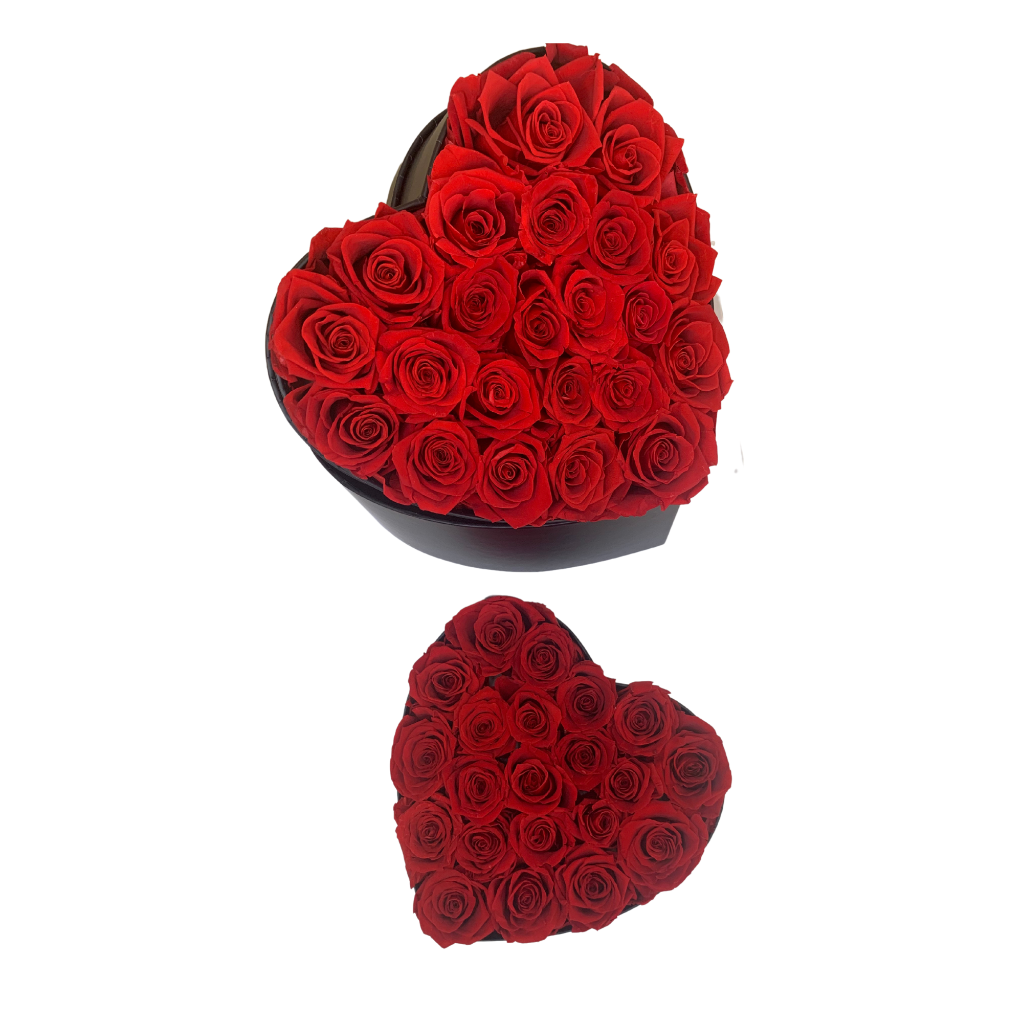 verona home and gift - Wholesale Dried/Pressed Flowers - Heart Shape Real Preserved Roses that Last Forever 3