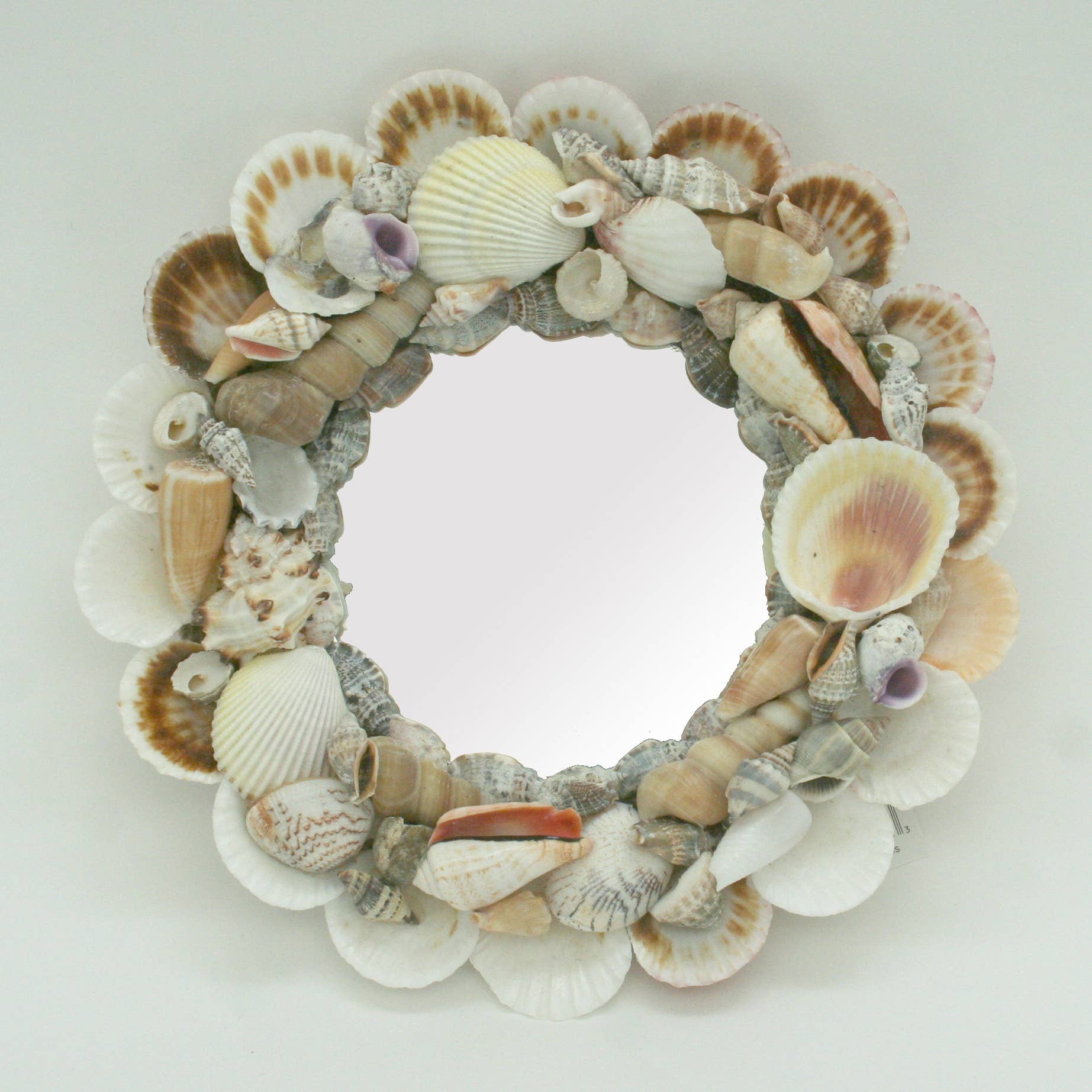 Modern Coastal by Contrast Inc. - Vendita all'ingrosso Specchi da parete - Specchio Shell assortito2