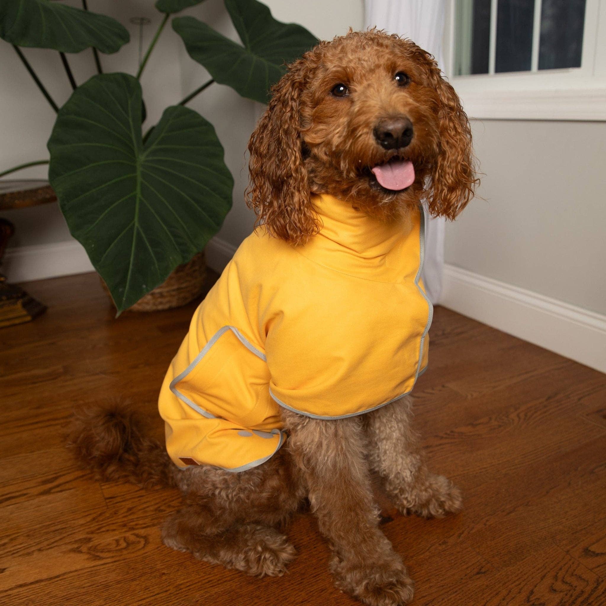 Pouty Paws - Wholesale Pet Towel - Dog - Super Absorbent Lightweight Dog Drying Robe2