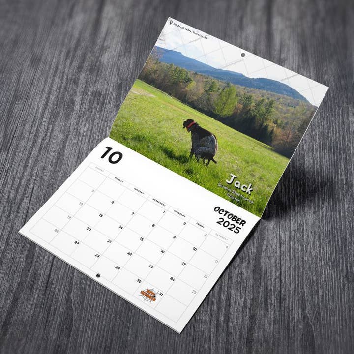 ShutUpAndTakeMyMoney - Wholesale Calendar - Dogs Pooping in Beautiful Placesâ„¢ 2025 Calendar - Gag Gift