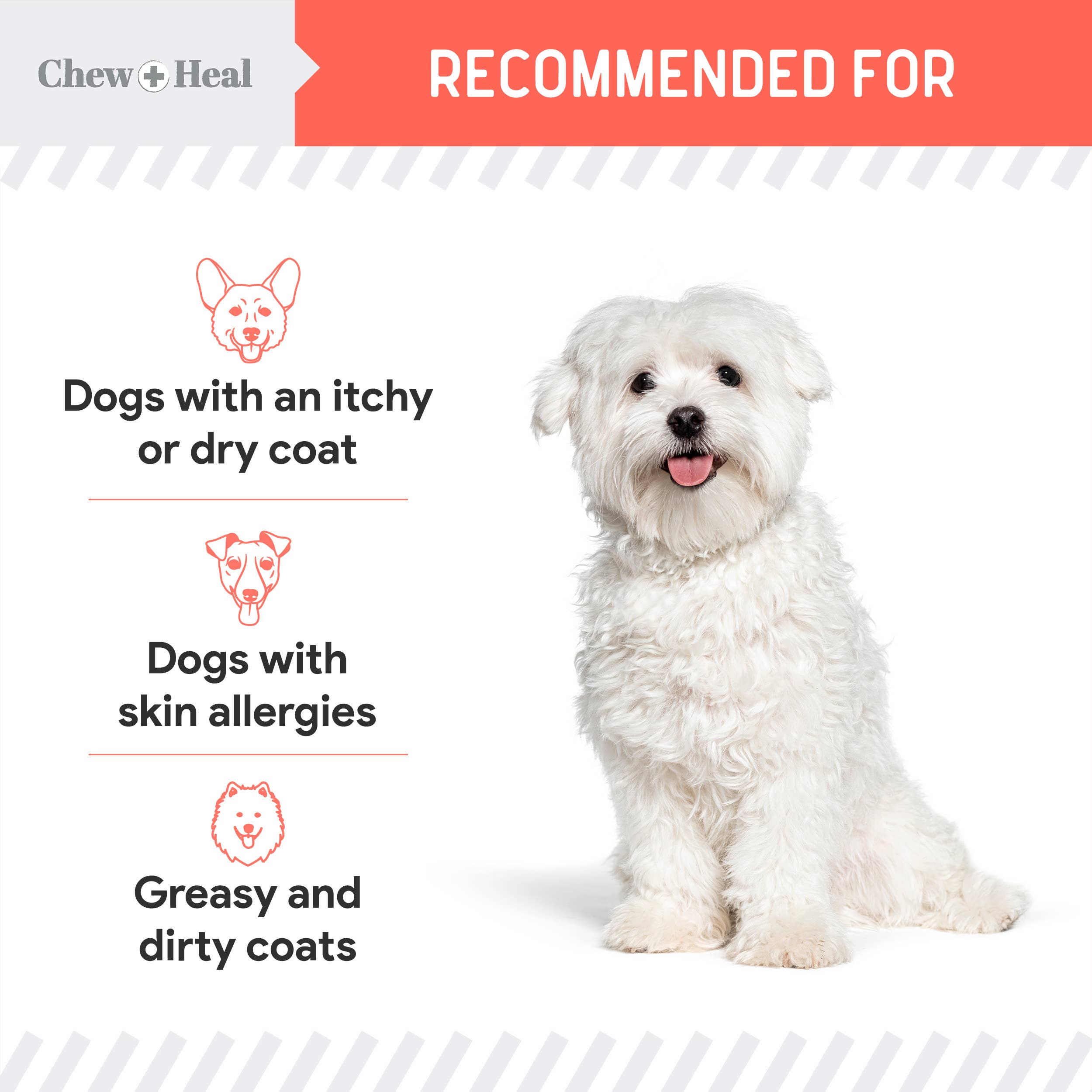 Chew + Heal - Wholesale Pet Supplement - Cat/Dog - MSC-Certified Sustainable Pure Wild Alaskan Salmon Oil7