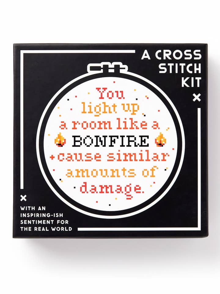 Brass Monkey You Light Up A Room Cross Stitch Kit for wholesale by Chronicle Books