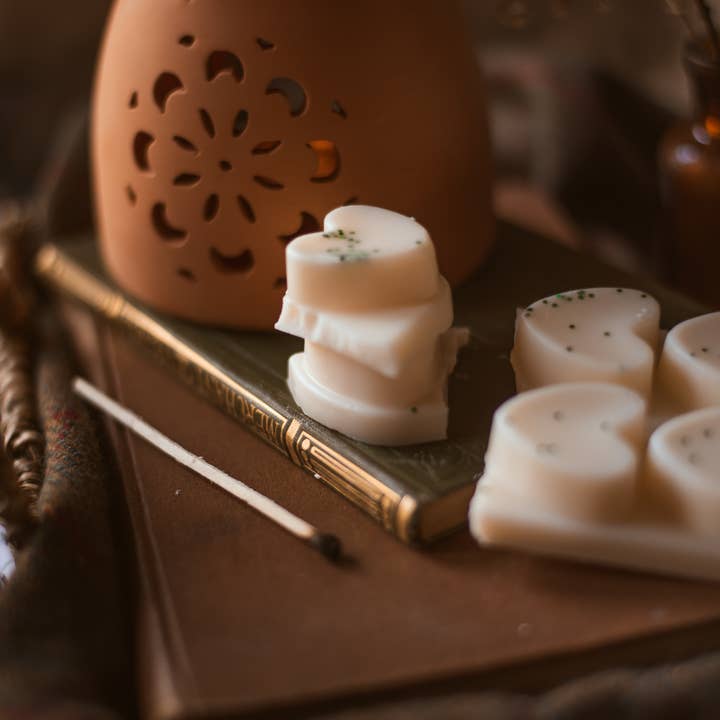 Meleri and Maple Co - Wholesale Wax Melt - Blueberry Cheesecake Scented Heart Clamshell Soy Wax Melts